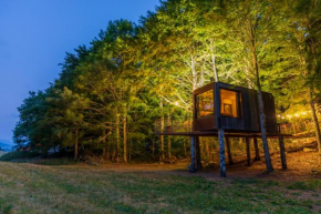 Cabane perchée La Résilience sur le plateau du Vercors